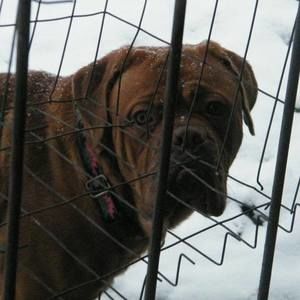 Meet your Posher, Donna